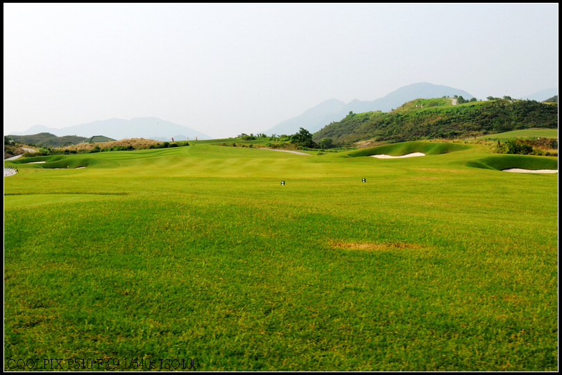 DSCN2414.jpg
