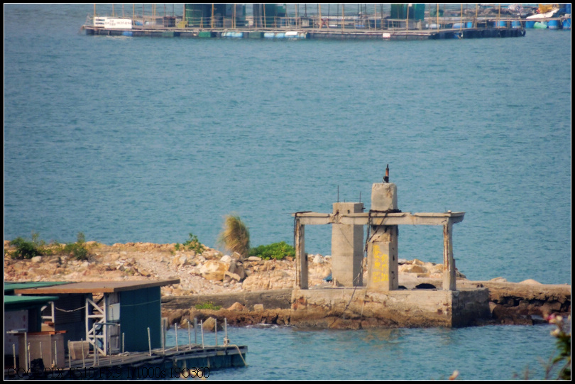 DSCN2404.jpg