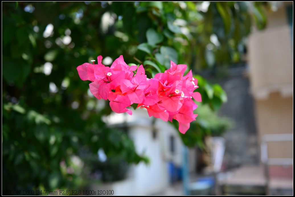 DSC_0331.jpg