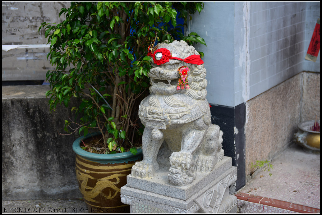 DSC_0341.jpg
