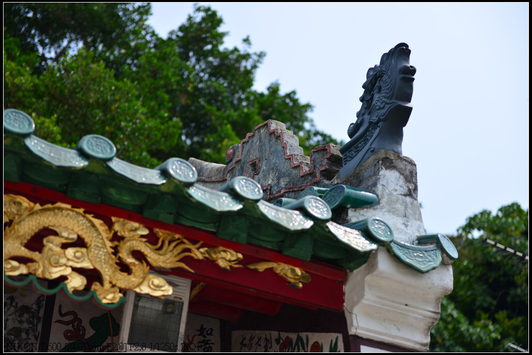 DSC_0342.jpg