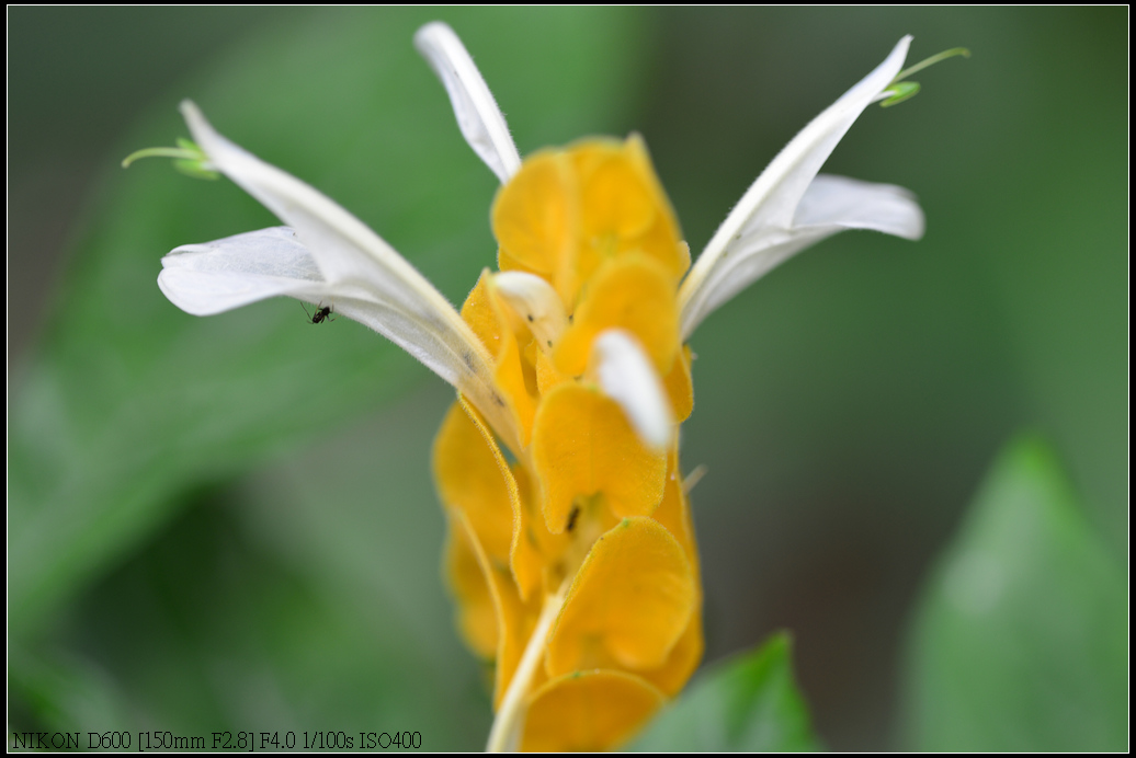 DSC_0397.jpg