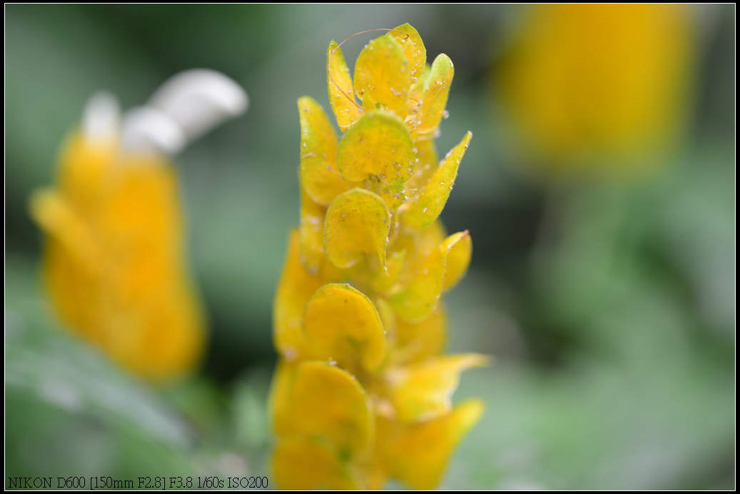 DSC_0402.jpg