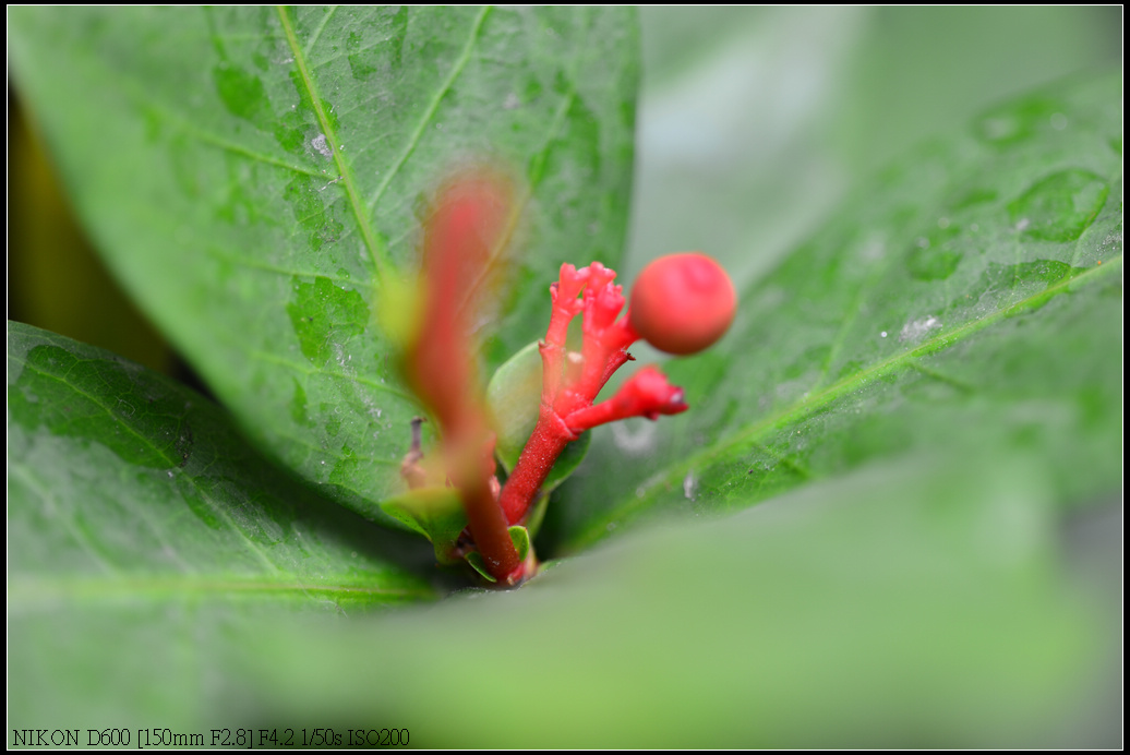 DSC_0412.jpg