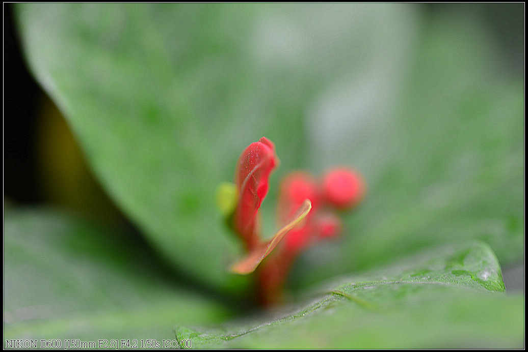 DSC_0413.jpg