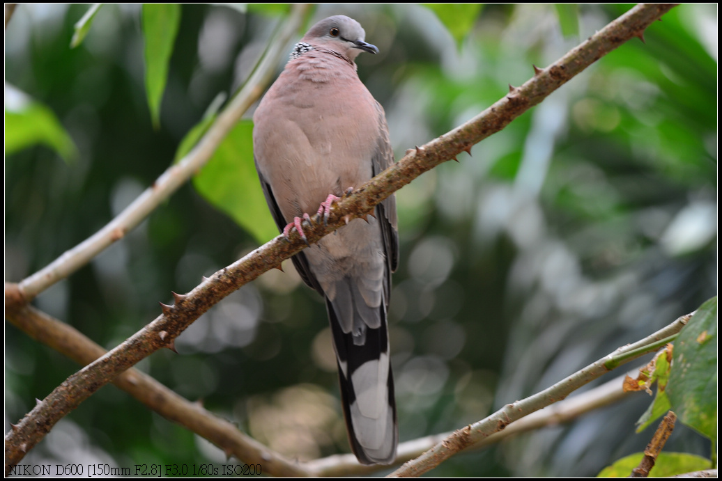 DSC_0418.jpg