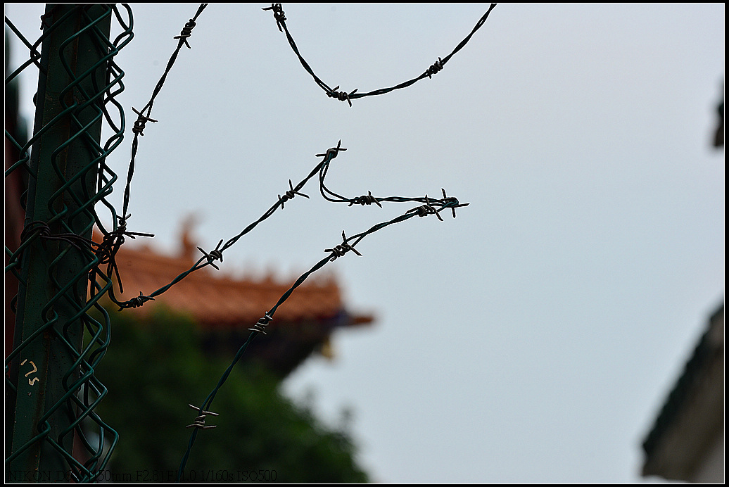 DSC_0455.jpg