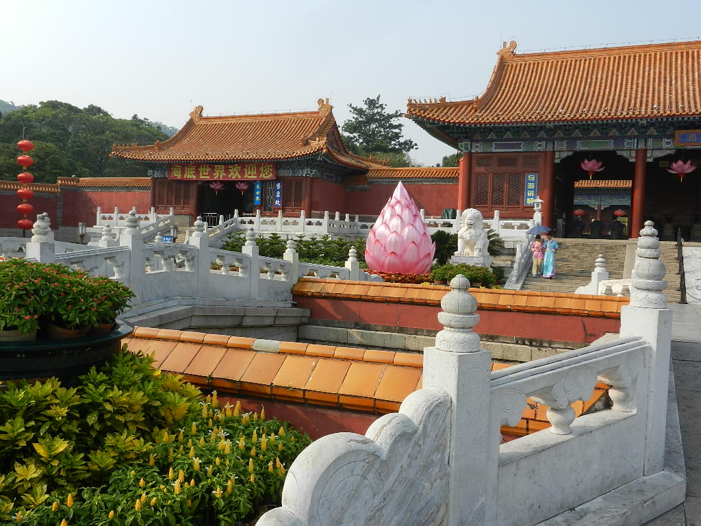 DSCN9246.JPG