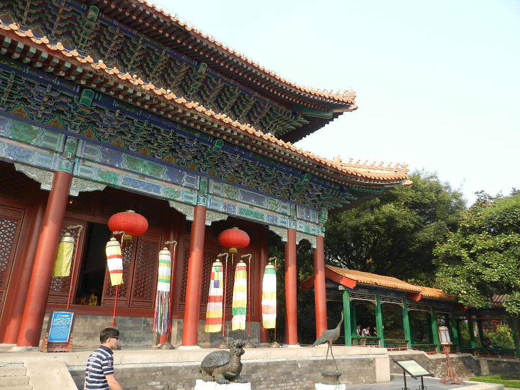 DSCN9255.JPG