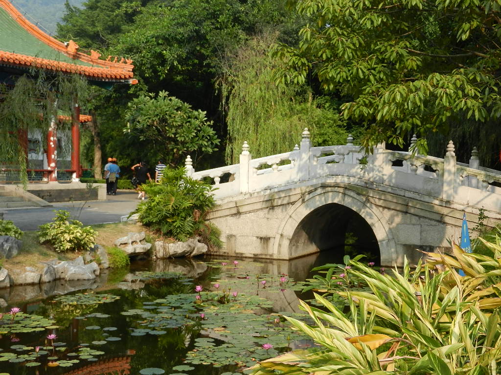 DSCN9266.JPG