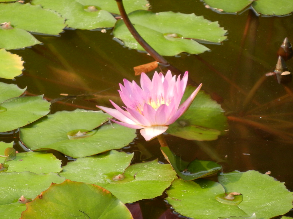 DSCN9268.JPG