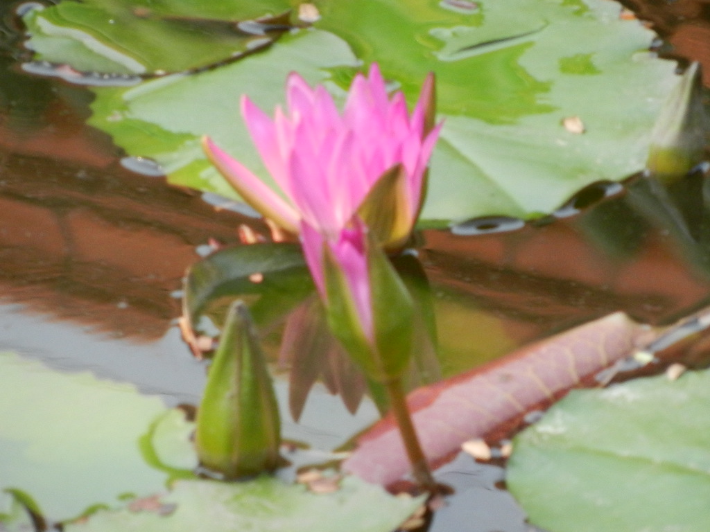 DSCN9269.JPG