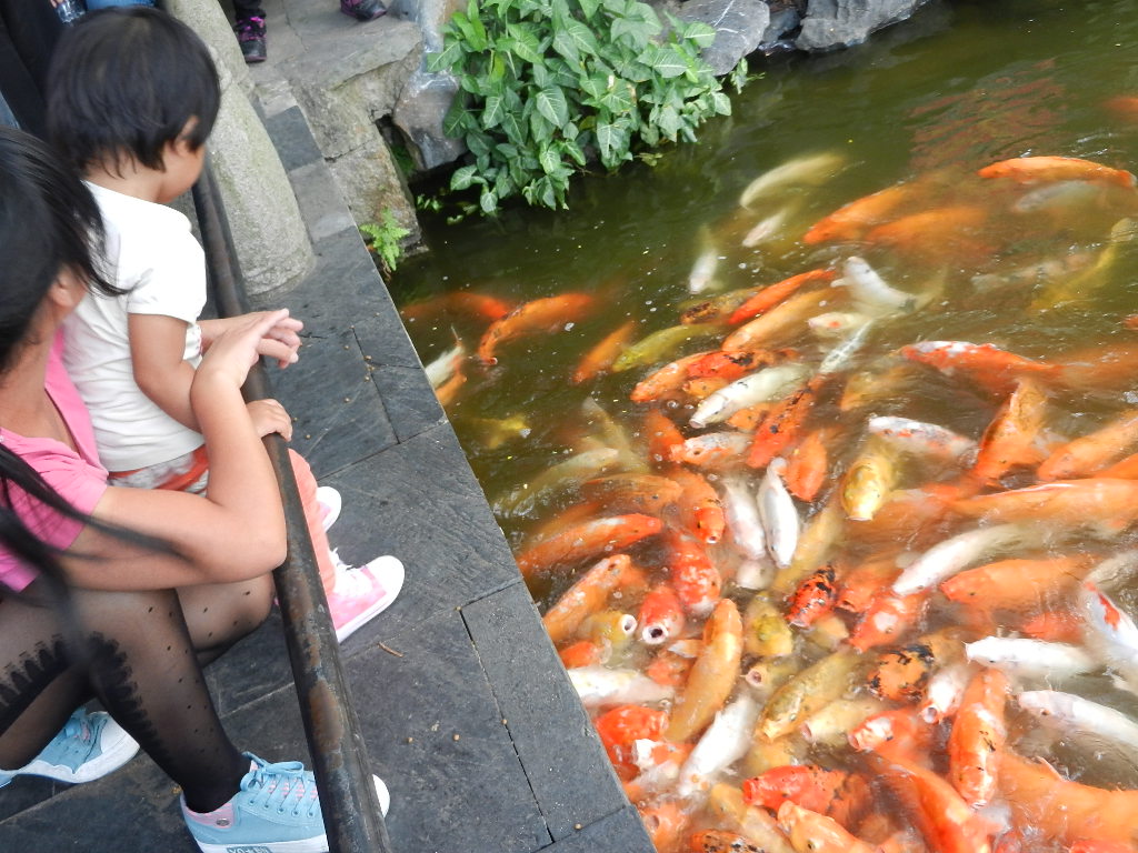 DSCN9336.JPG