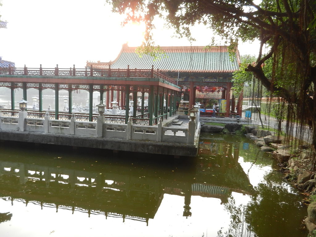 DSCN9417.JPG