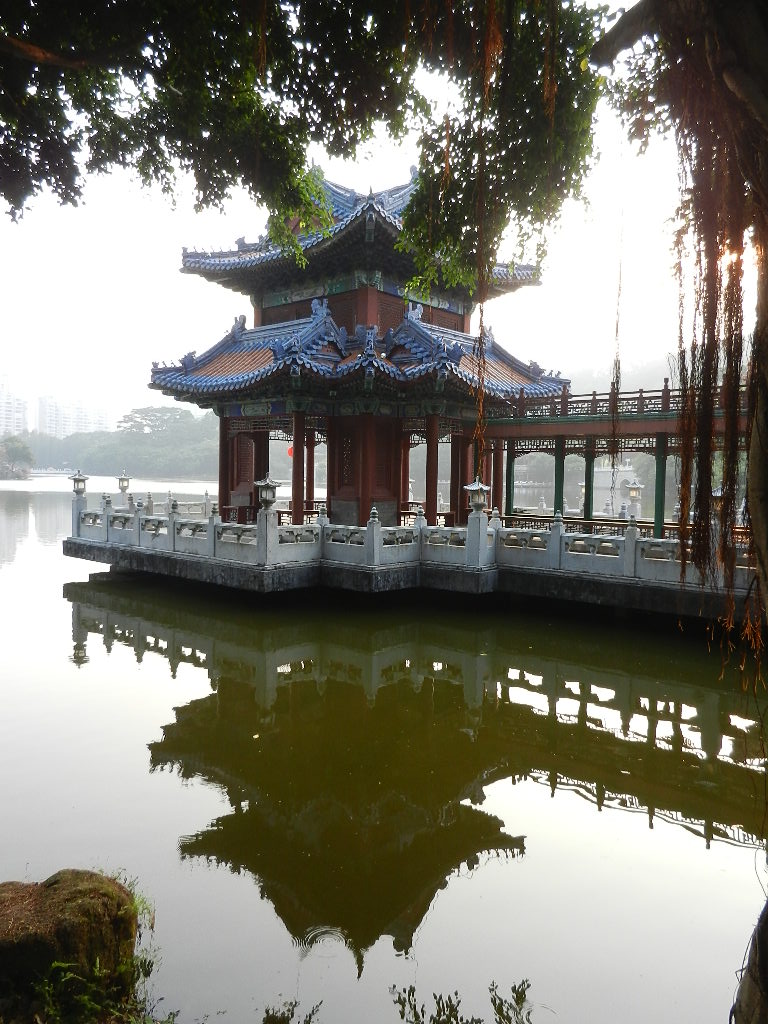 DSCN9419.JPG