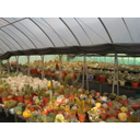 DSC01605Thumbnail 2.png