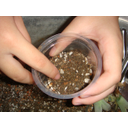 DSC01595Thumbnail 11.png