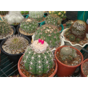 DSC01509Thumbnail 3.png