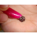 DSC01513Thumbnail  6.png