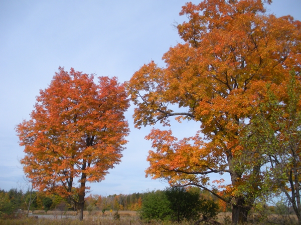 DSCN9787.JPG
