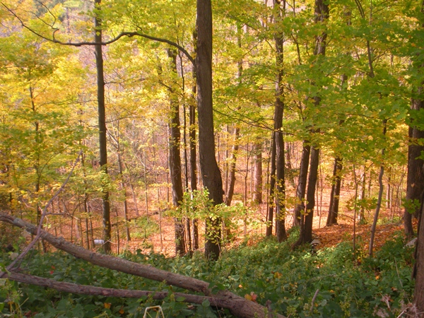 DSCN9792.JPG