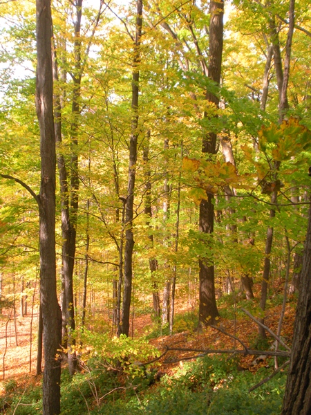 DSCN9794.JPG