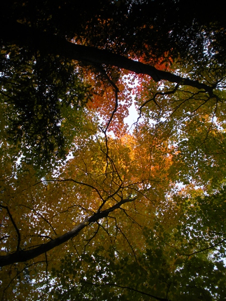 DSCN9804.JPG