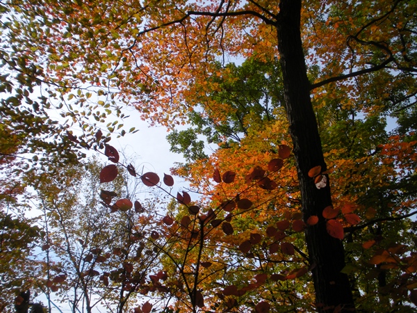 DSCN9813.JPG