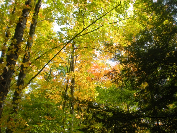 DSCN9816.JPG