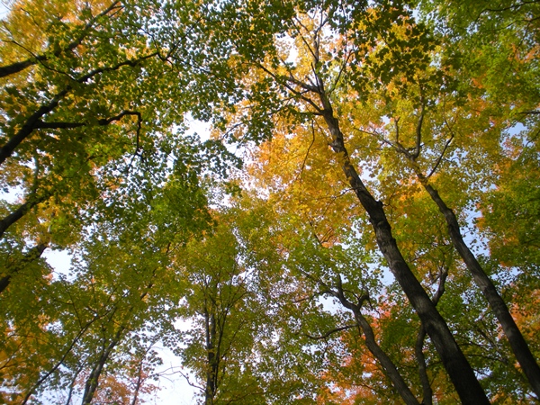 DSCN9818.JPG