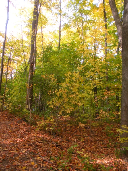 DSCN9819.JPG