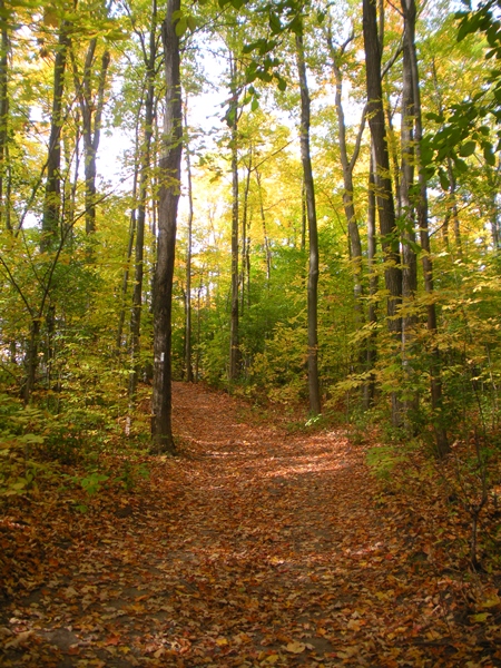 DSCN9825.JPG
