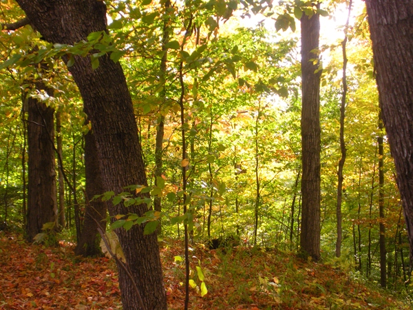 DSCN9849.JPG