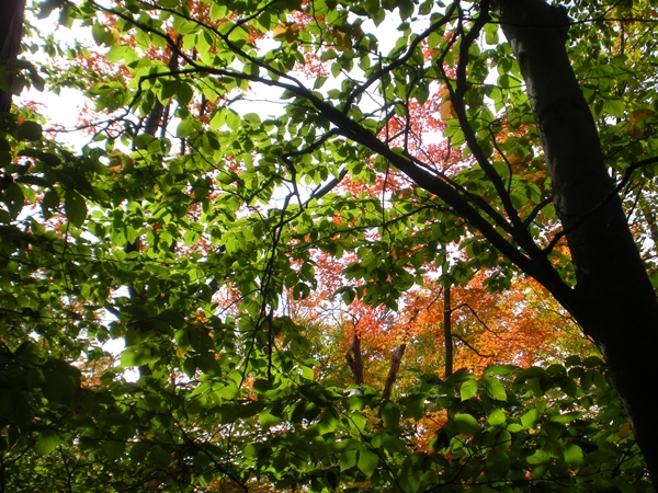 DSCN9853.JPG