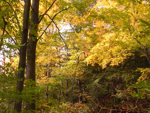 DSCN9860.JPG