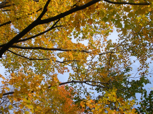 DSCN9866.JPG