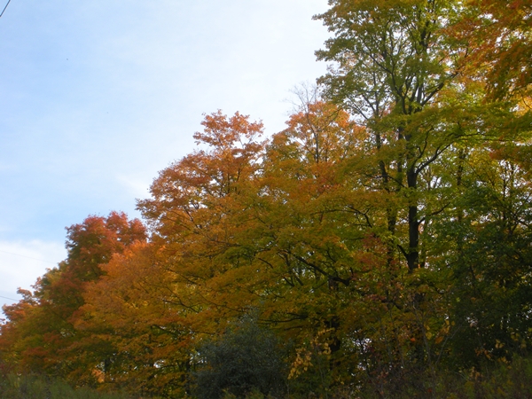 DSCN9874.JPG
