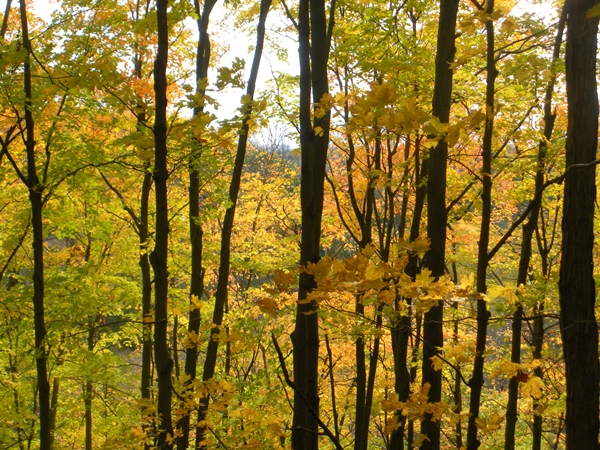 DSCN9879.JPG