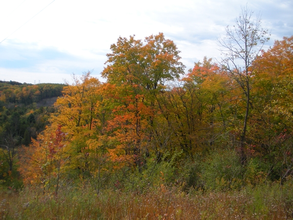 DSCN9889.JPG