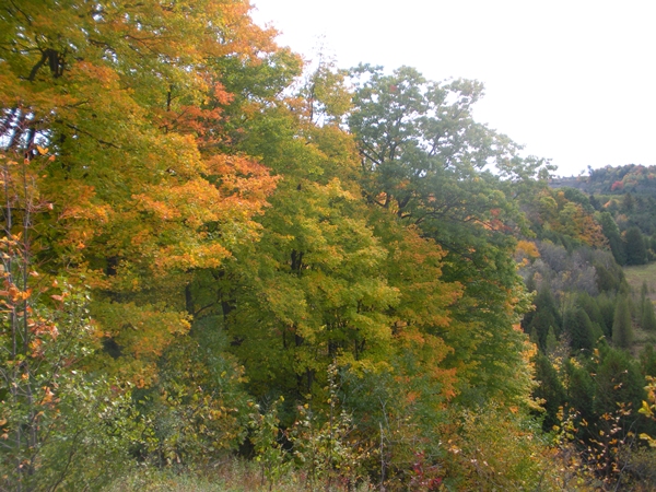 DSCN9892.JPG