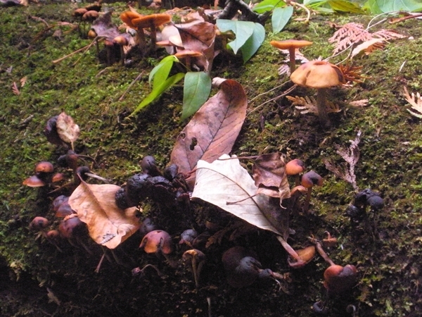 DSCN9932.JPG