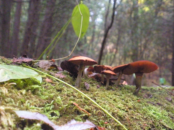 DSCN9933.JPG