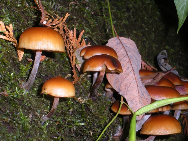 DSCN9935.JPG