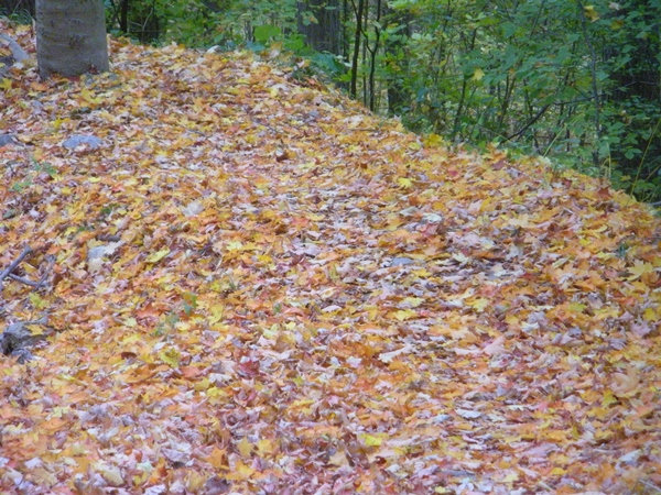DSCN9942.JPG