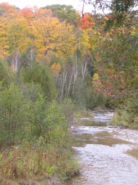 DSCN9963.JPG