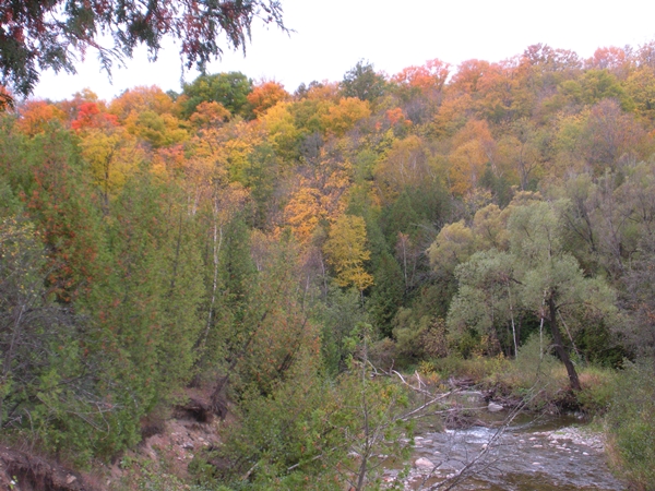 DSCN9971.JPG