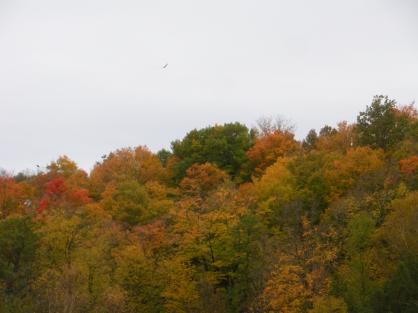 DSCN9975.JPG