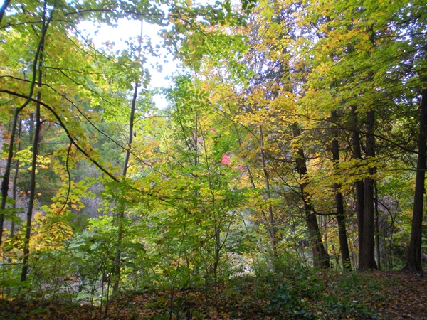 DSCN9525.JPG