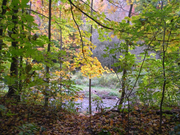 DSCN9526.JPG