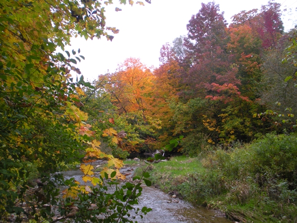DSCN9527.JPG